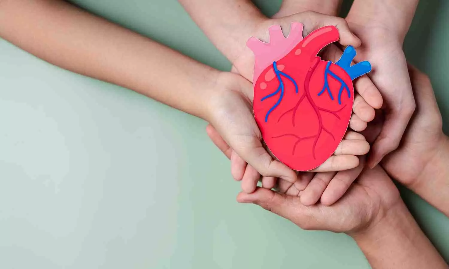 Processed fats found in margarines unlikely to affect heart health,  reveals research