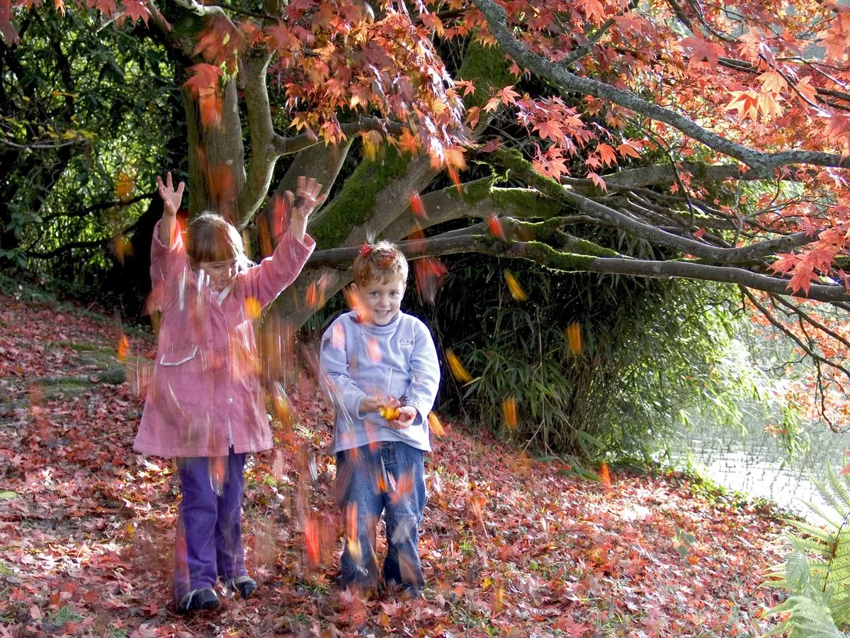 October half-term nine free natural wonders you can see with the kids
