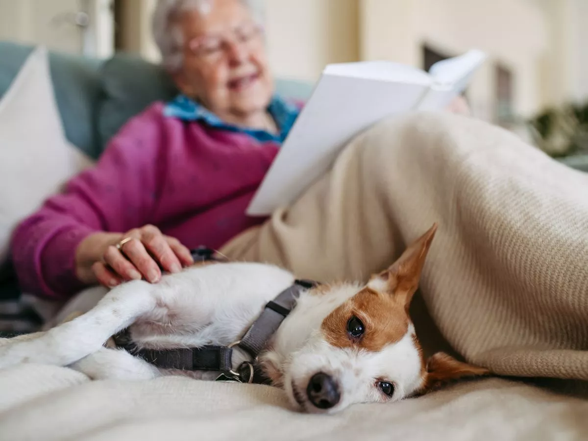 Dog owners need to know nine 'severe' illness symptoms