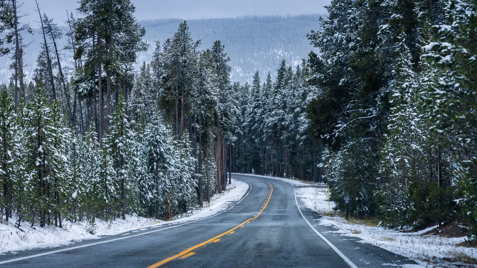 Winter Weather Warning As 20 Inches of Snow To Hit