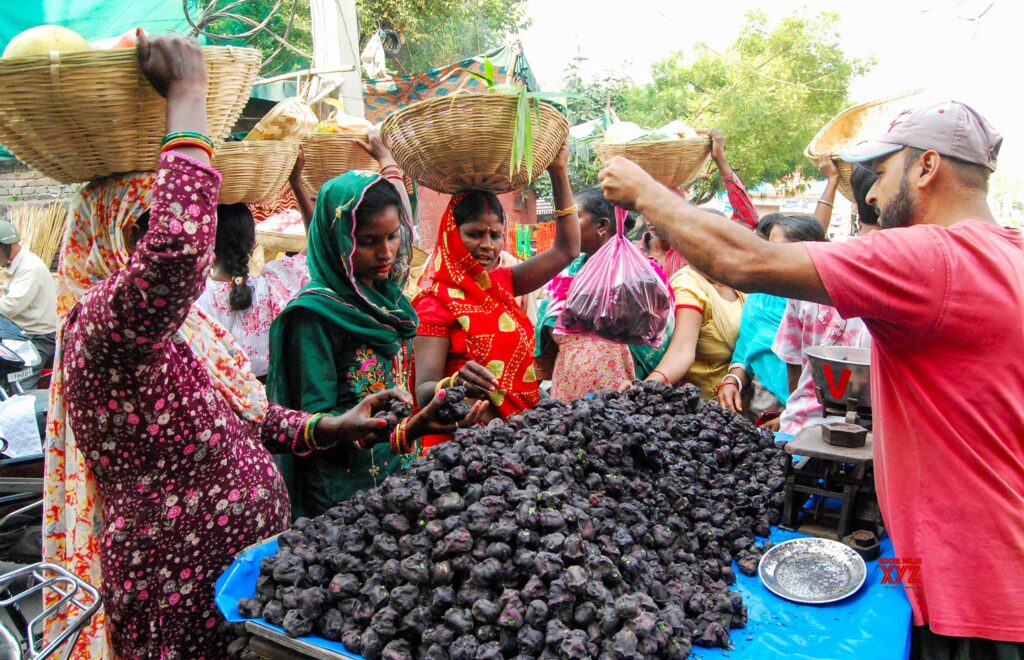 Amritsar: Chhath Puja Preparations #Gallery