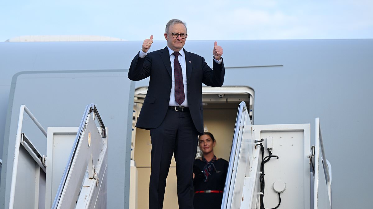 A Coalition split. The rise of Reform Australia. A resurgent One Nation... The future looks grim for Sussan Ley - and Albo's Washington triumph proves it: PVO