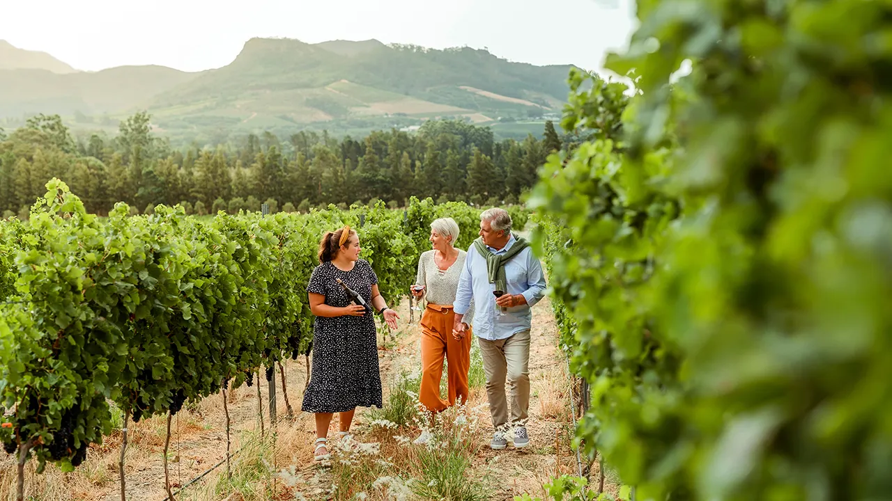 Vineyard owners use Gospel of John metaphor to guide winemaking philosophy