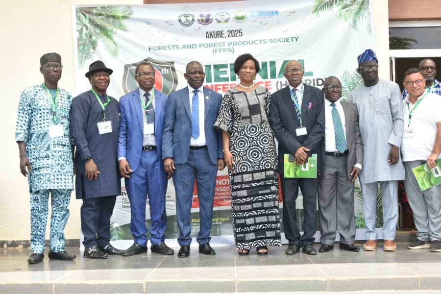 Experts Advocate Digital Mgt Of Forests To Enhance Economic, Environmental Devt