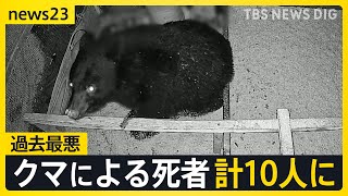 Man Dies Trying to Save Elderly Couple From Bear