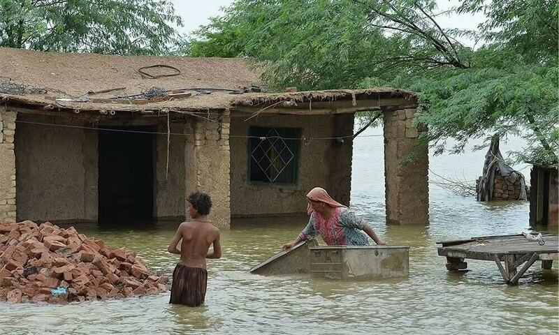 Govt determined to rehabilitate flood affectees
