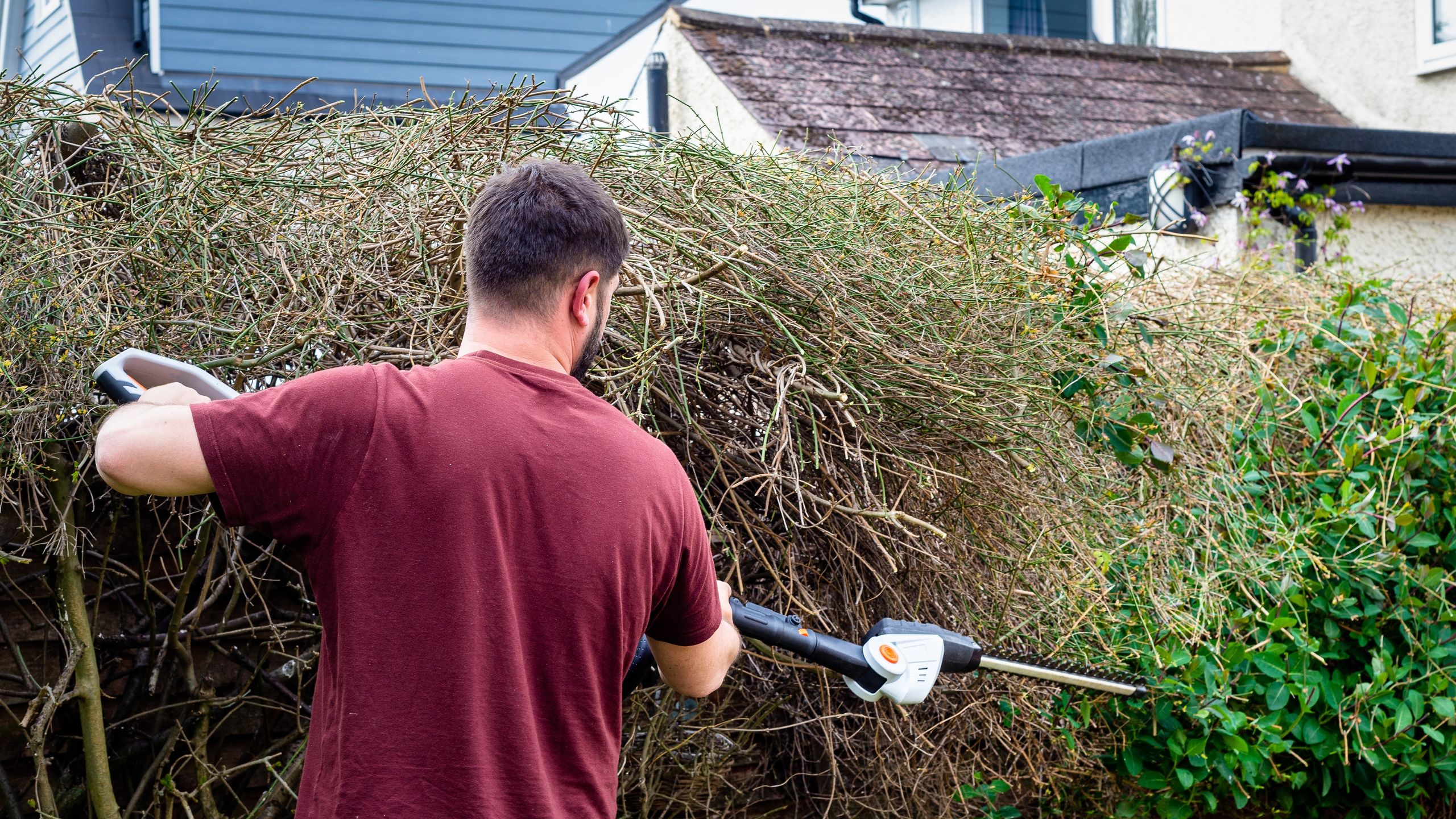 Is it OK to cut my neighbors' overhanging bushes? I asked the experts to find out if I'm within my rights