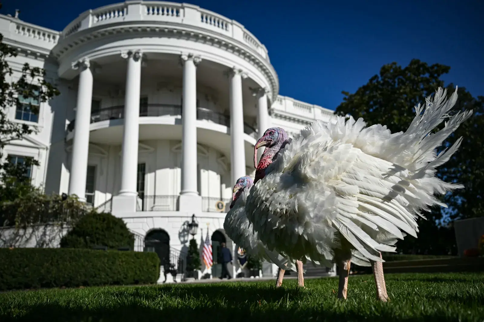 Farmers' Almanac Thanksgiving Weather Forecast in Every State