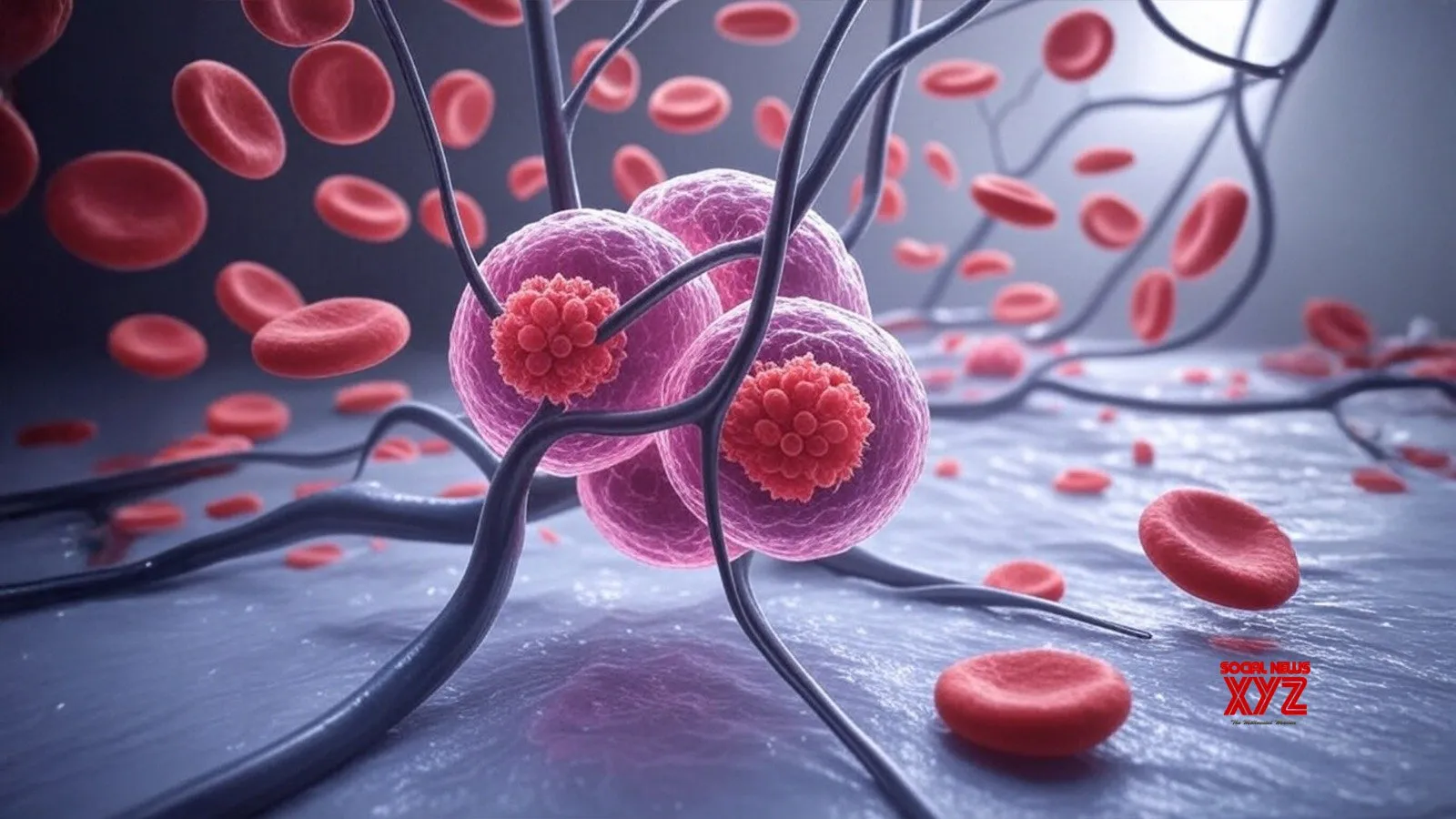 Tiny metal particles show potential in targeting cancer cells: Study