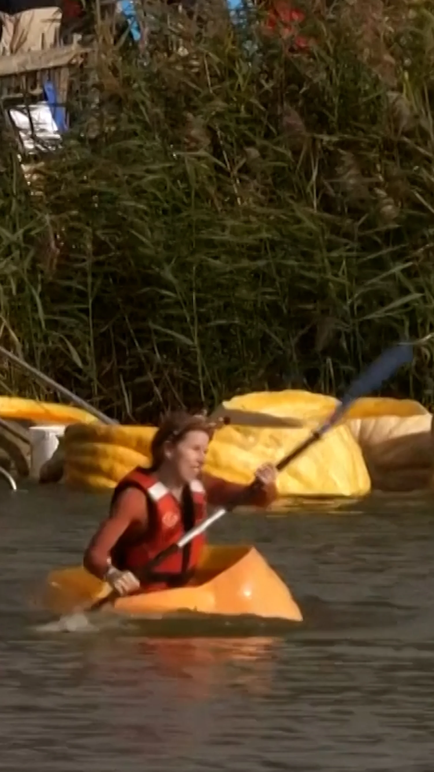 Belgians paddle in hollowed-out pumpkins for annual event