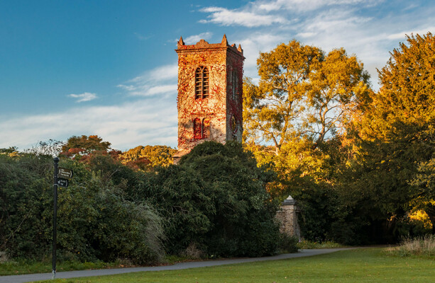 New public toilets in North Dublin park vandalised after one week