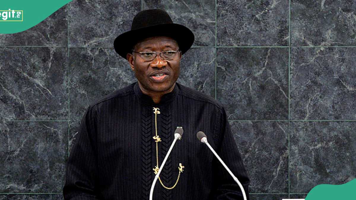 2027 election: Why PDP should not present Goodluck Jonathan revealed