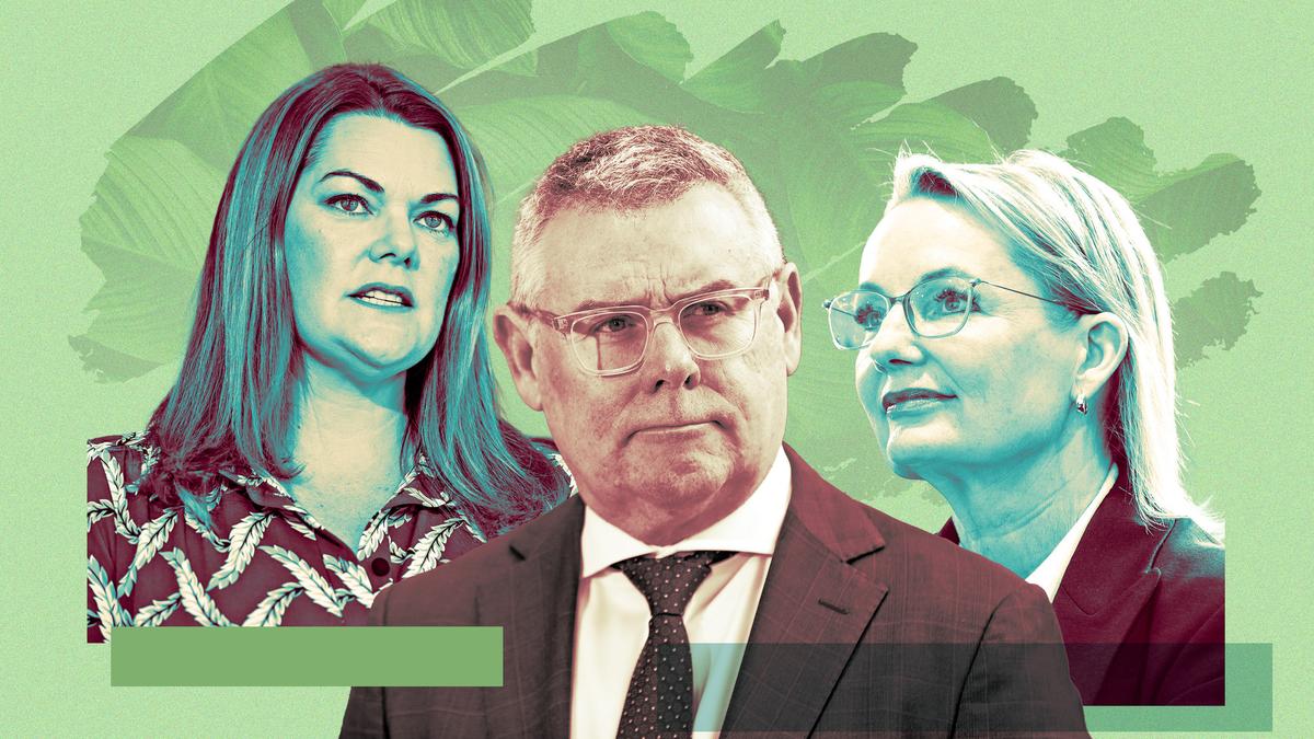 What to expect from Parliament: MPs return to Canberra to push controversial environment reforms