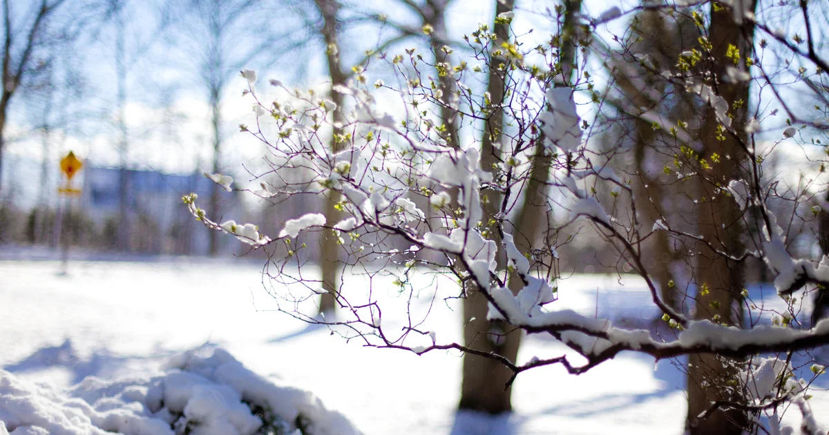 What will Southeast Michigan's winter look like? Here's what to know about 2025 winter outlook