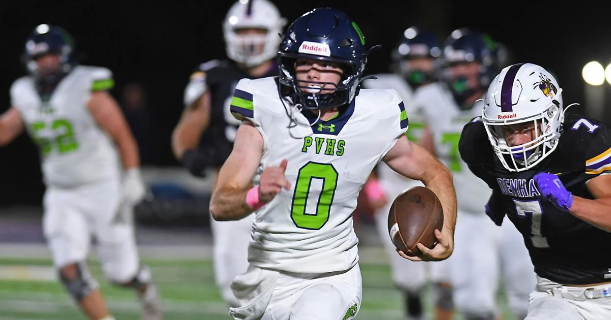 Griffins, Bulldogs and Gators win; Lions make history with victory