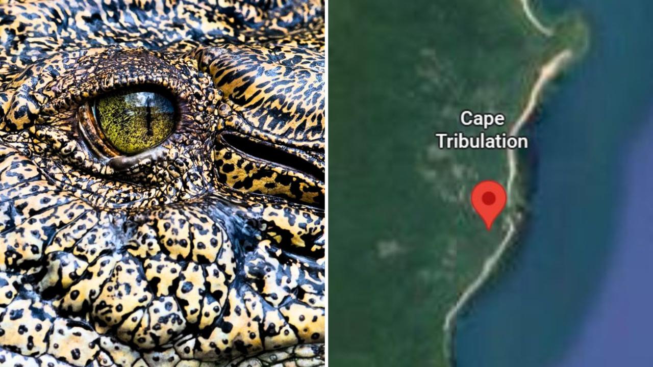 14yo boy attacked by croc as sightings rise