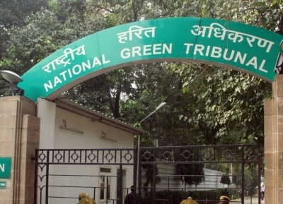 NGT takes suo motu cognisance of pharma effluent discharge in Telangana’s Sangareddy
