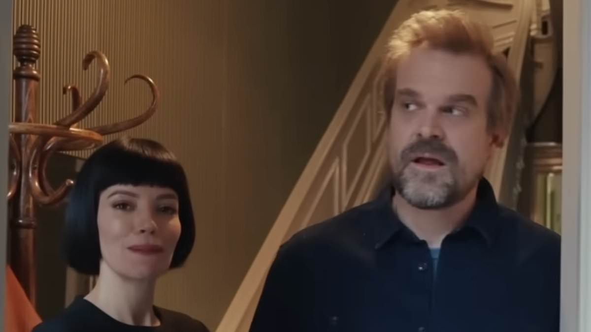 Lily Allen and David Harbour 'put their New York townhouse on sale for $8m' after she laid bare cheating