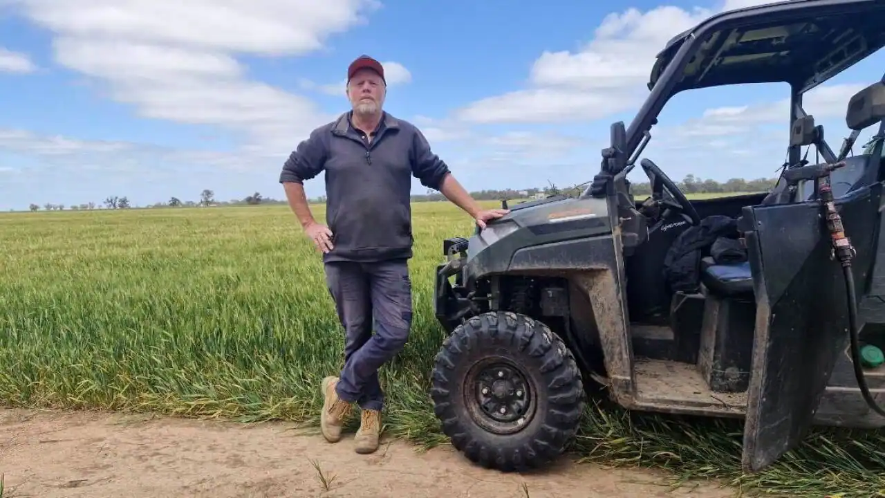 The 'horrendous' gamble of fast-tracking the Trump-Albanese critical minerals deal