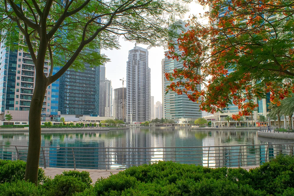 Why this JLT waterfront area is drained and what residents can expect