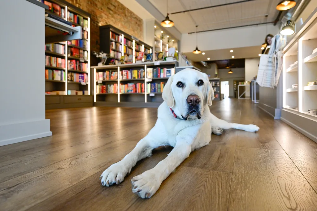 Boulder County author signings, book events