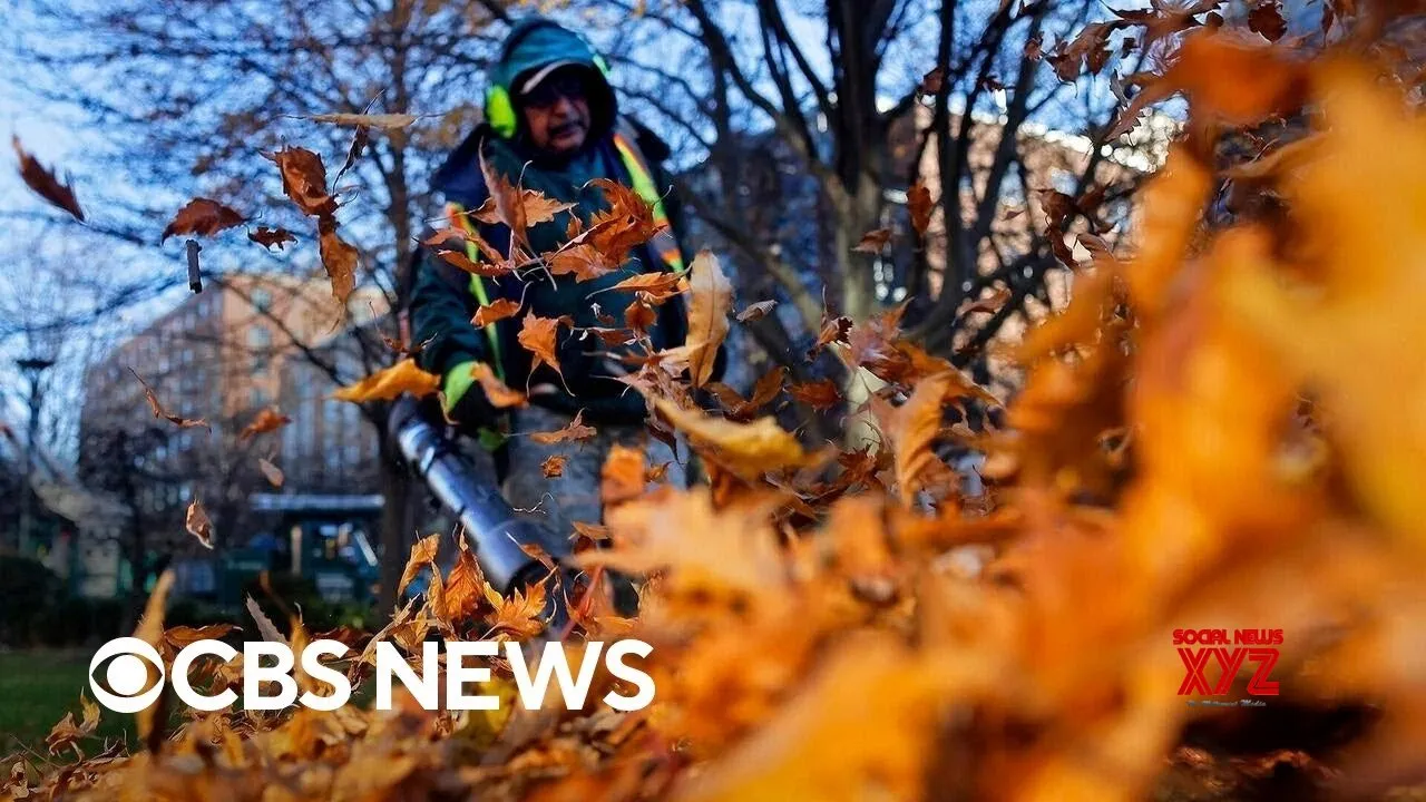 Some U.S. communities banning or restricting loud leaf blowers (Video)