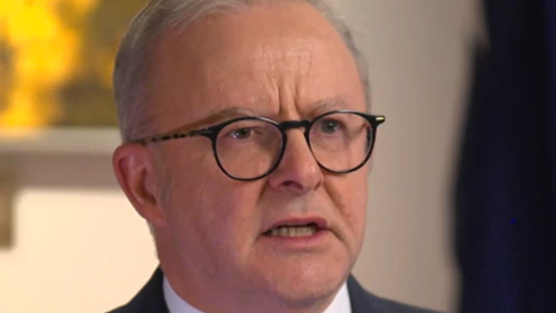 Environment laws are biggest test of parliament since Albanese's win