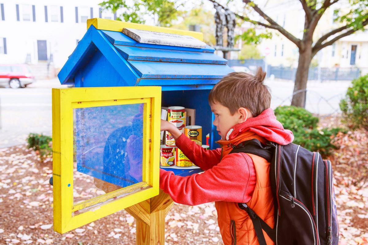 Where to Find Little Free Food Pantries in Rochester, MN