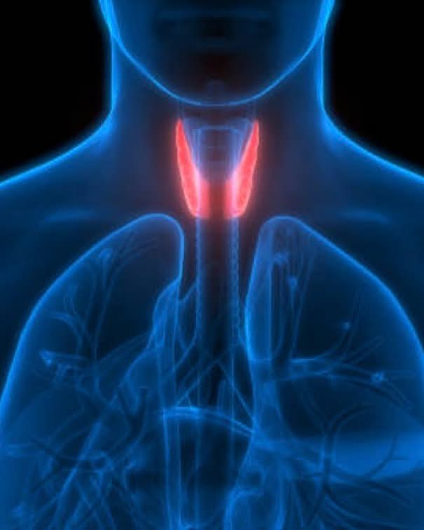Regulate your thyroid with this magical diet