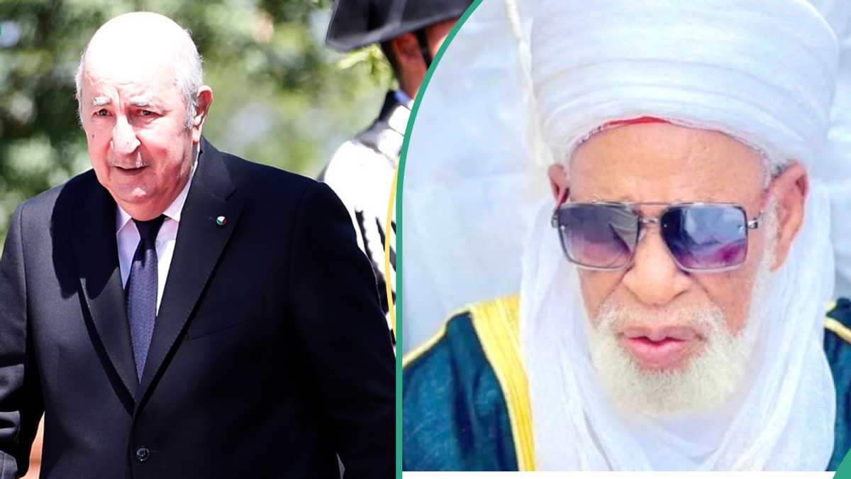 Algerian leader approves 140 scholarships for Nigerian students