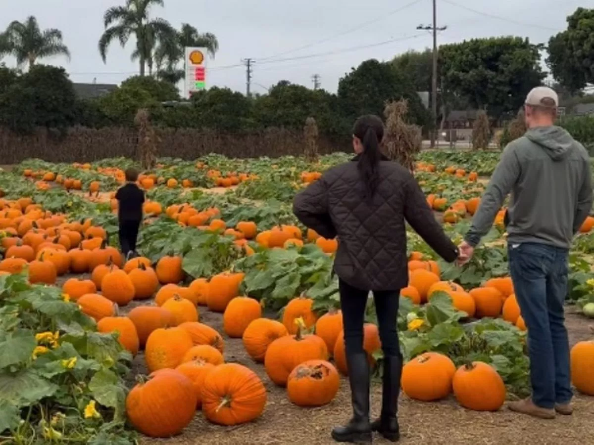 Meghan Markle reveals clearest glimpse of Archie and Lilibet in sweet video