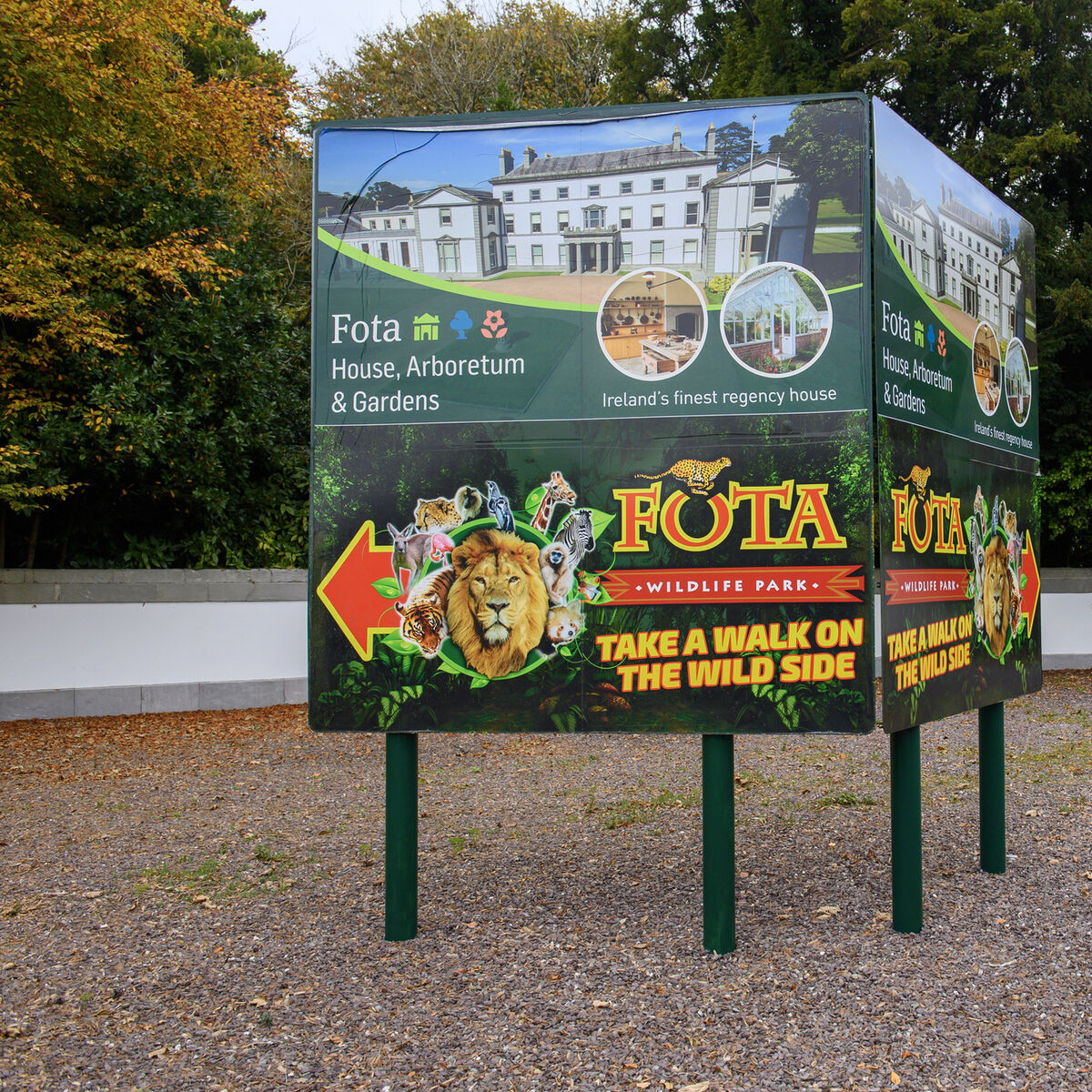 Catherine Conlon: Bird flu is spreading from pole to pole – here’s why it matters