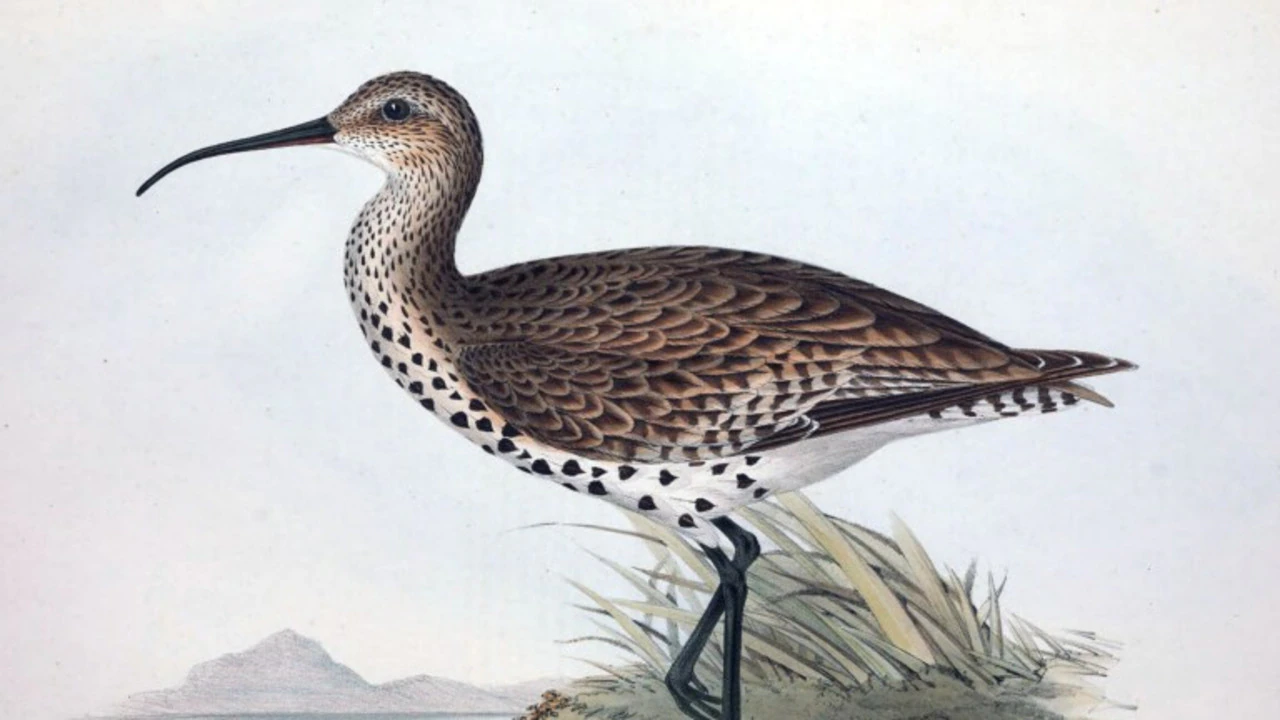 Unwanted first as species wiped off earth