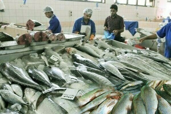 Jan to Aug 2025: Fish meal exports to China jump 17pc YoY