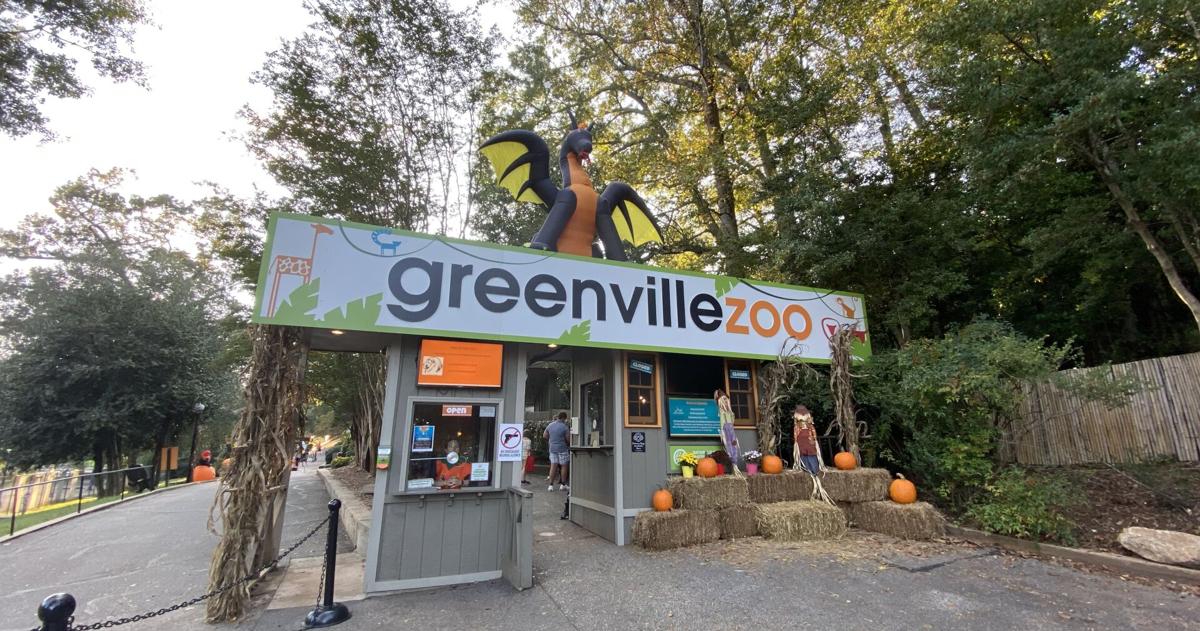 5 Halloween activities to do in Greenville SC