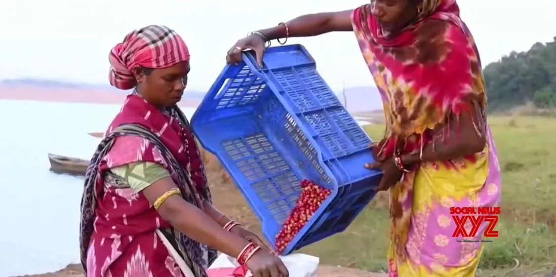 India’s coffee brewed in India, loved by world: PM Modi in ‘Mann Ki Baat’