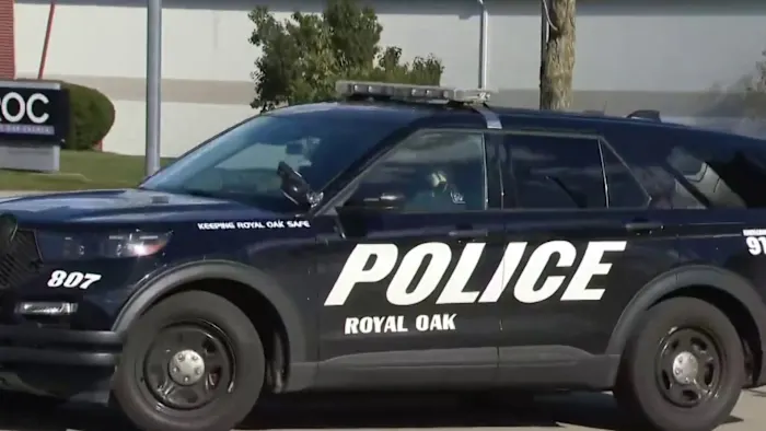 Woman arrested in deadly Royal Oak stabbing to appear in court -- what to know