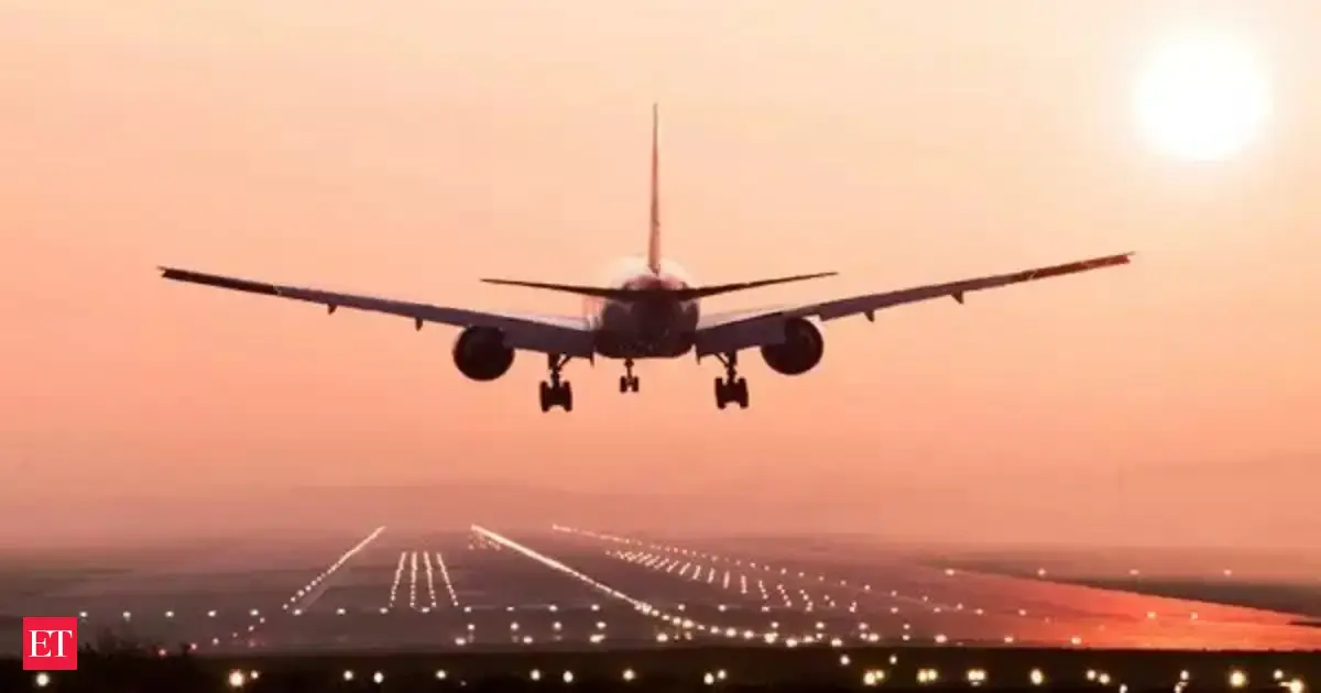 Baggage system at Delhi airport's T1 faces temporary glitch