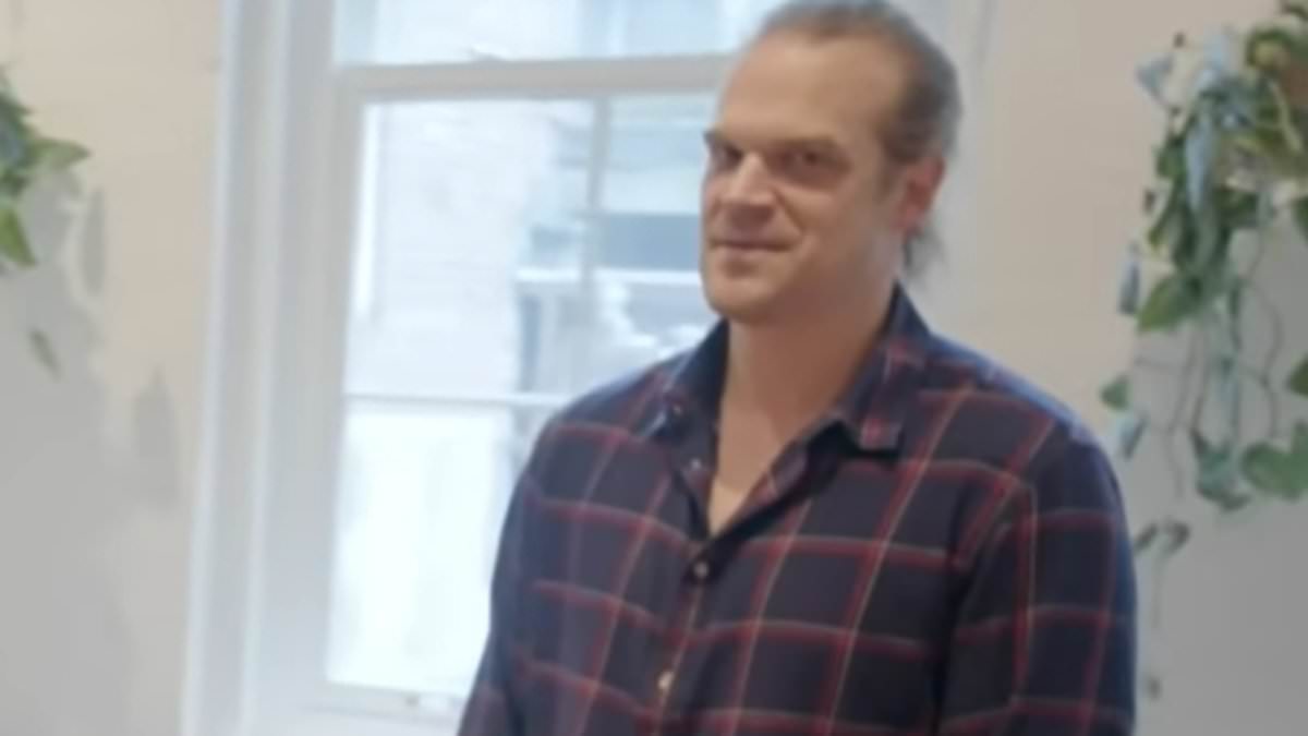 Inside David Harbour's New York City sex pad that inspired Lily Allen's explicit take down of her ex-husband