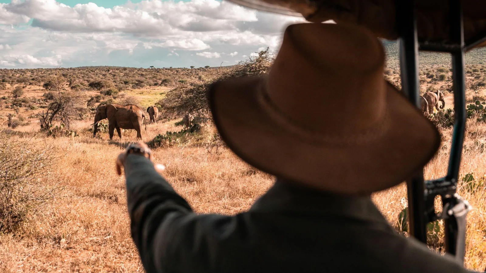 The Travel Curator’s Guide To Safaris In Africa