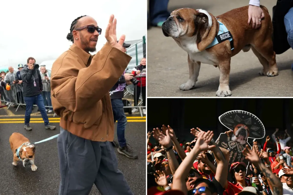 Lewis Hamilton mourns beloved dog ahead of Mexico’s Day of the Dead
