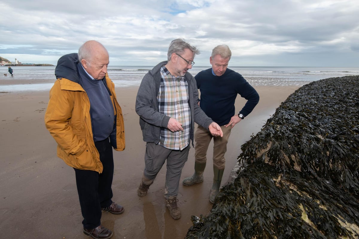 North Yorkshire coast bathing water summit set to take place today in Scarborough