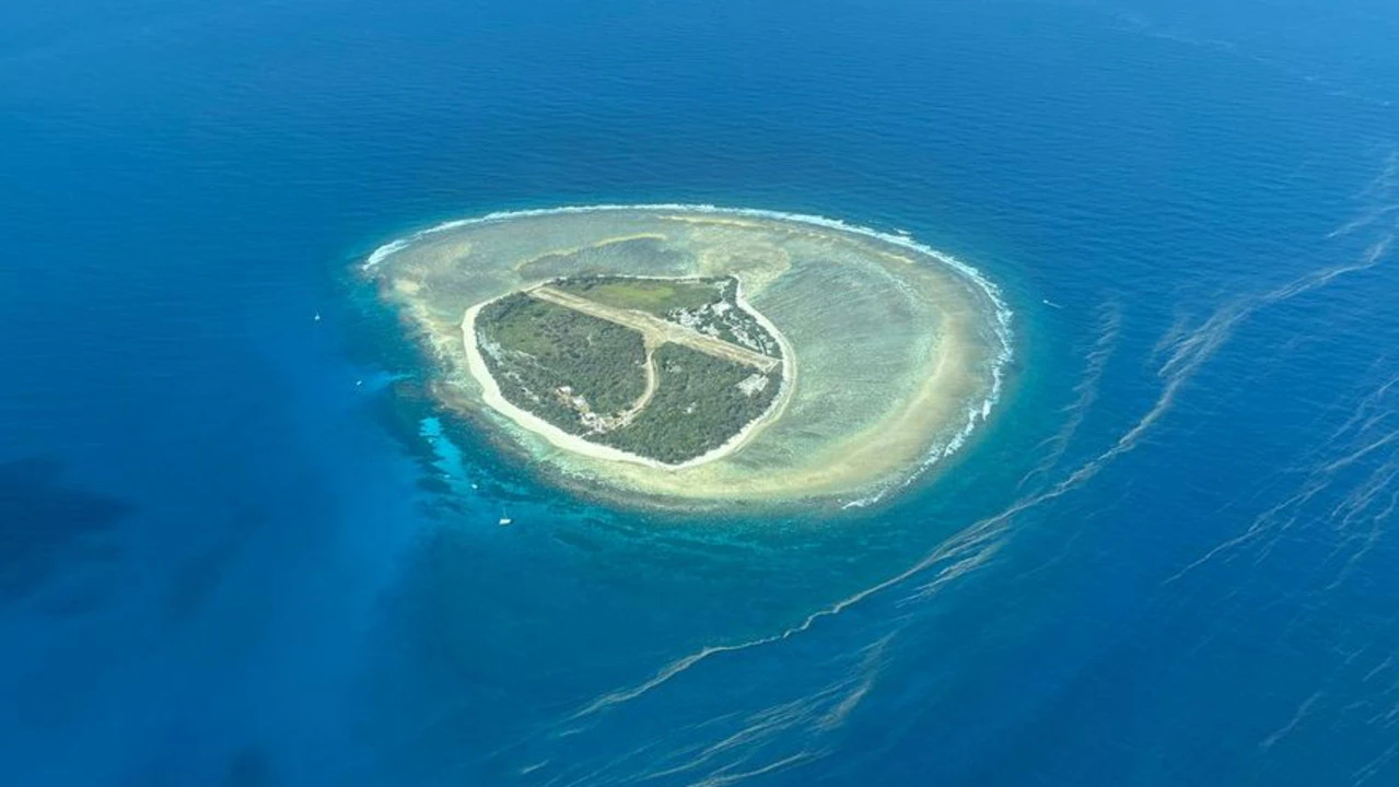 98% of Aussies haunted by this picture