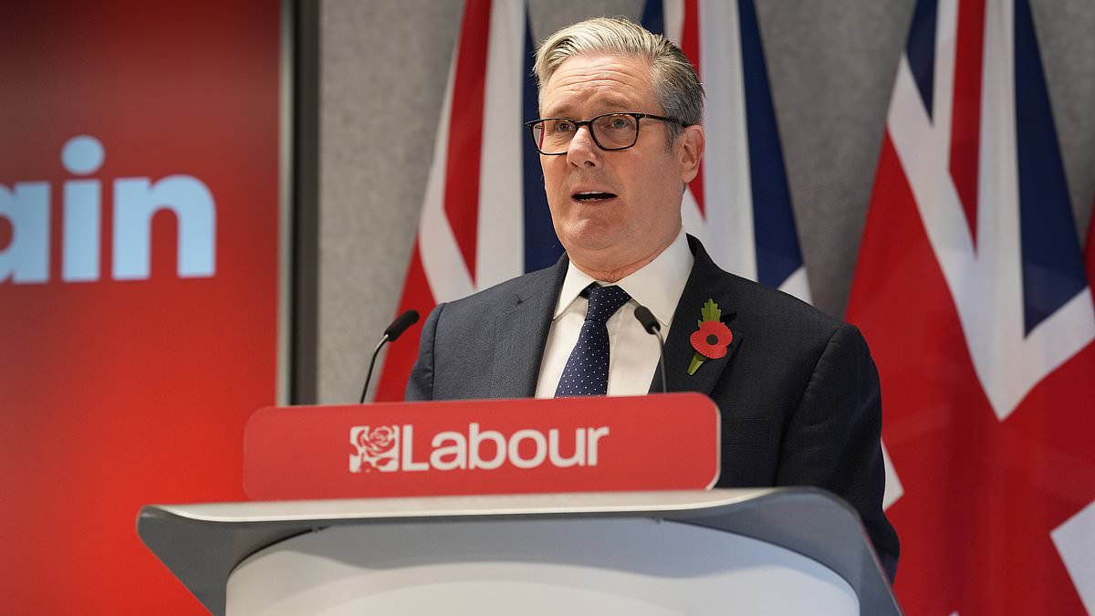 LORD ASHCROFT: ID card scheme is a classic Starmerite intervention - it's expensive, intrusive and utterly pointless