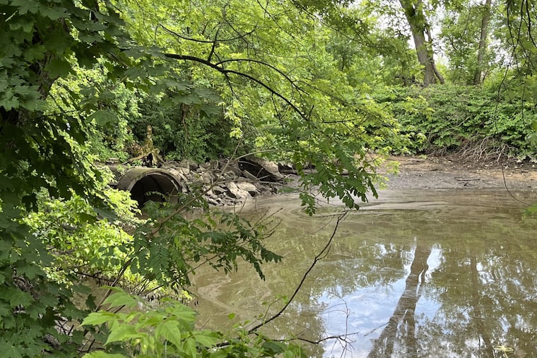 Billions of gallons of sewage dumped into the Delaware River annually