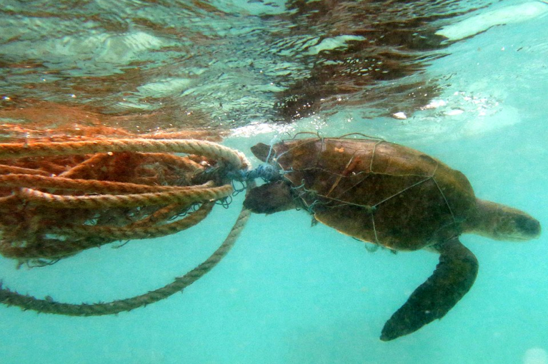 To Plastic, or Not to Plastic? The Ethical Failure of a Wasteful Society