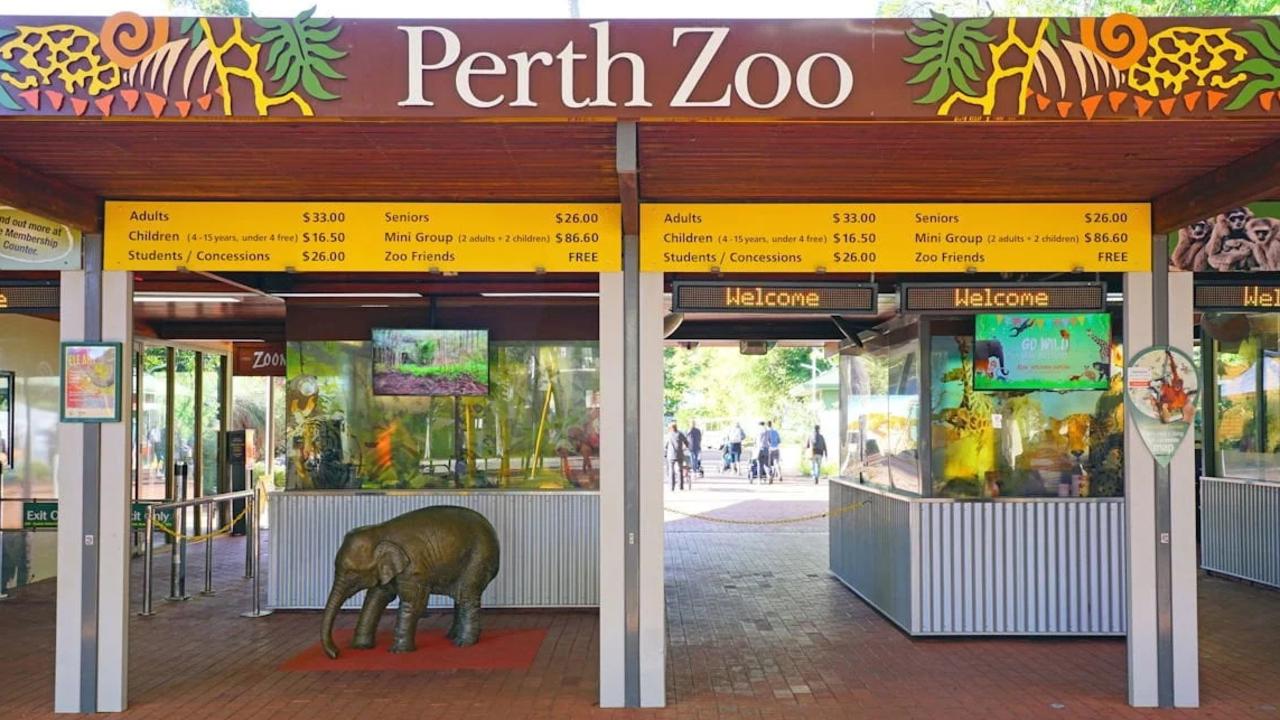 Childcare provider fined for losing children at zoo