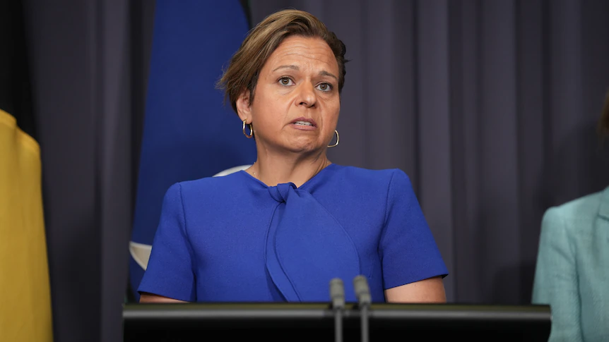 Artists rejoice as Labor rules out copyright carve-out for AI