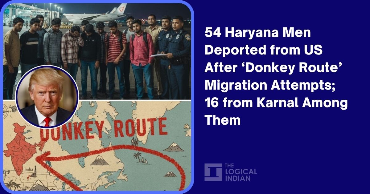54 Haryana Men Deported from US After ‘Donkey Route’ Migration Attempts; 16 from Karnal Among Them