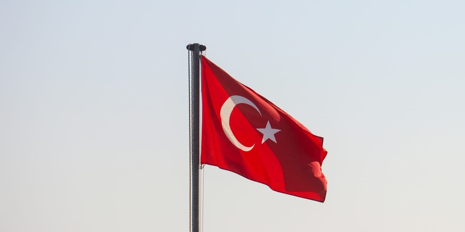 Türkiye Simplifies Hiring Rules to Boost Ties with Turkic Nations